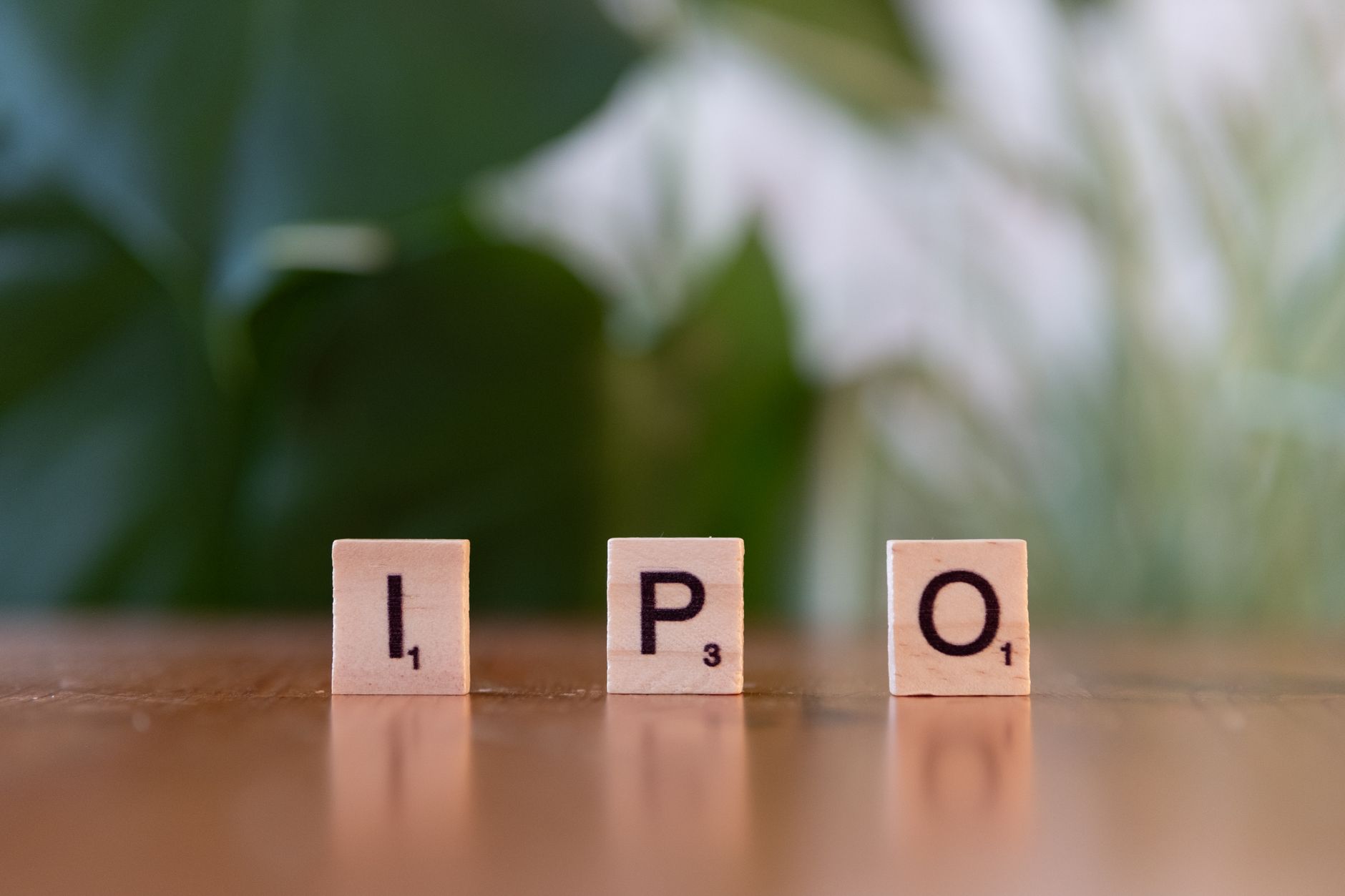 India biggest IPO