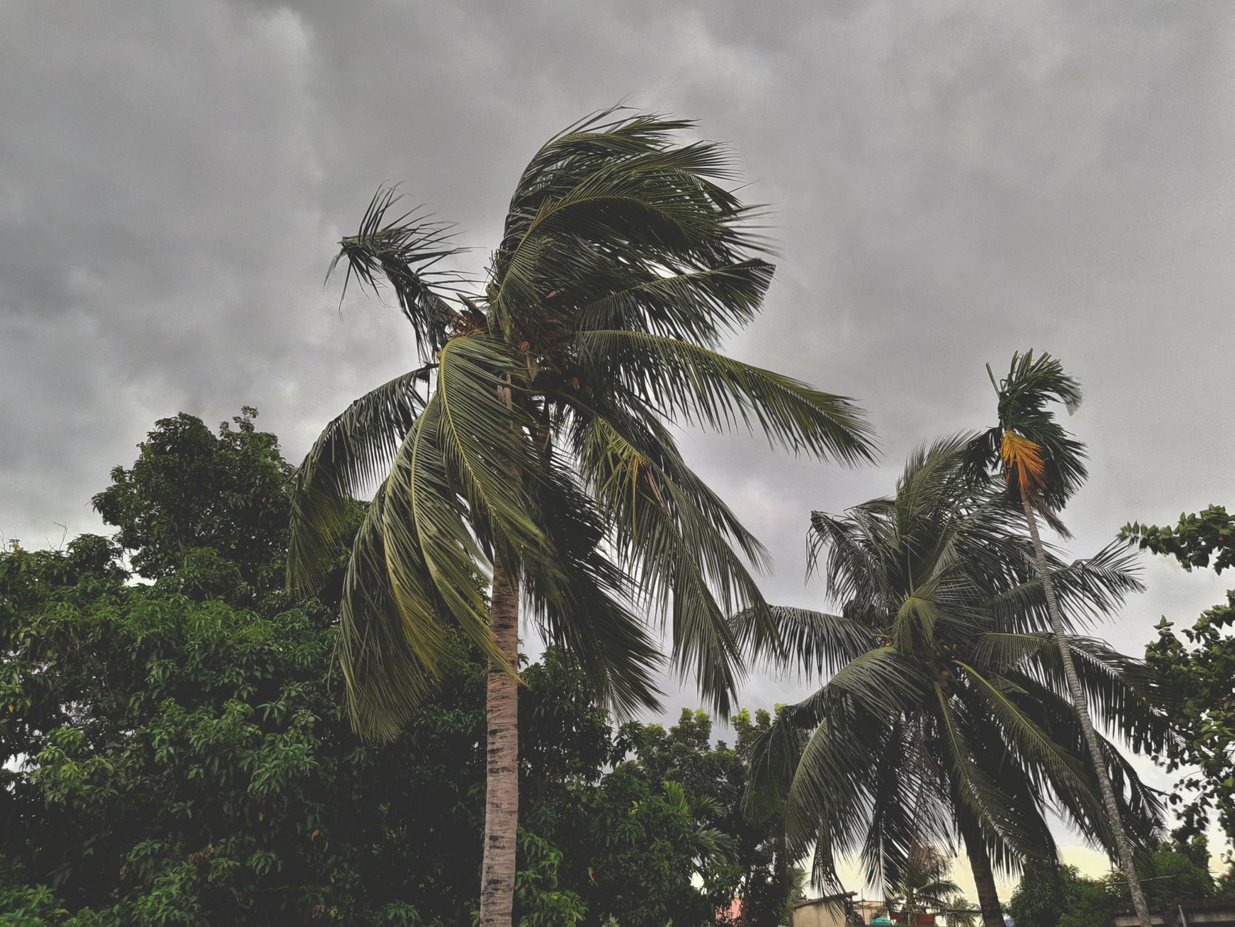 monsoon withdrawal India